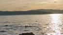 Mermaid, film 00:00:00, 2 reacties, 34 stemmen