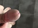 Mijn eikeltje, foto 4000x3000, 2 reacties, 8 stemmen