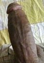Mijn lul, foto 629x898, 6 reacties, 9 stemmen