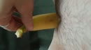 Miss chiquita in aktie, film 00:00:00, 12 reacties, 70 stemmen