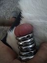 Mix van ringen, foto 3000x4000, 7 reacties, 21 stemmen