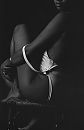 Model F, foto 369x567, 3 reacties, 13 stemmen