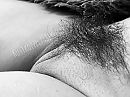 Mooi?, foto 800x600, 49 reacties, 149 stemmen
