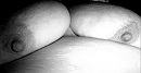 Mooie borsten?, foto 1296x676, 7 reacties, 21 stemmen