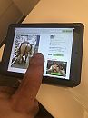Mooie foto!, foto 3000x4000, 1 reacties, 1 stemmen