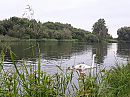 Mooie natuur, foto 1124x843, 3 reacties, 13 stemmen