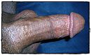 My cock, foto 1024x631, 1 reacties, 2 stemmen