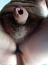 My wooden dildo, foto 1936x2592, 0 reacties, 4 stemmen