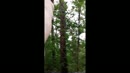 Naakt in het bos op een, film 00:00:00, 4 reacties, 15 stemmen