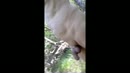 Naakt op wandel in de natuur., film 00:00:00, 4 reacties, 15 stemmen
