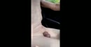 Naakt verder rijden naar een, film 00:00:00, 3 reacties, 16 stemmen
