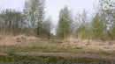 Naakt wandeling en in het open, film 00:00:00, 11 reacties, 39 stemmen