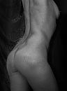 Nat, foto 525x709, 16 reacties, 64 stemmen