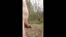 Natuurfilmpje., film 00:00:28, 4 reacties, 15 stemmen