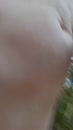 Natuurfilmpje., film 00:00:14, 4 reacties, 12 stemmen