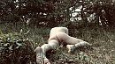 Nazomer 2, foto 1180x666, 2 reacties, 14 stemmen
