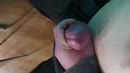 Niet meer te houden, film 00:00:25, 5 reacties, 21 stemmen