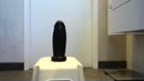 Nieuwe dildo, film 00:00:00, 4 reacties, 16 stemmen