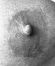 Niple niple niple….., foto 2265x2700, 16 reacties, 66 stemmen