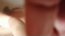 Nog even spelen...., film 00:00:10, 53 reacties, 288 stemmen