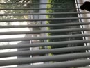 Nog steeds lek, film 00:00:00, 0 reacties, 7 stemmen