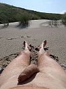 Nog ff zomer, foto 540x720, 3 reacties, 9 stemmen
