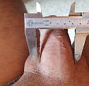 Nu 5cm dik, foto 2587x2513, 2 reacties, 9 stemmen