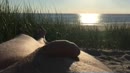 Nude, zon,zee, film 00:00:16, 0 reacties, 7 stemmen