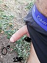 Nul graden, 15 cm, foto 1728x2304, 1 reacties, 8 stemmen