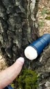 Ondeugend in de bossen, film 00:00:00, 7 reacties, 39 stemmen