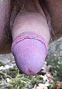 Ontblote eikel in het bos., foto 1837x2605, 1 reacties, 3 stemmen