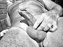 Ook lekker?, foto 2608x1956, 0 reacties, 7 stemmen