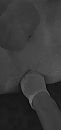 Ook, foto 1892x4000, 1 reacties, 8 stemmen