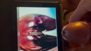 Op bevel, film 00:00:23, 11 reacties, 28 stemmen