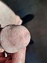 Op ISM ...... lekkende eikel., foto 3000x4000, 4 reacties, 17 stemmen