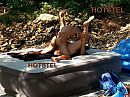 Op de camping, foto 1764x1328, 18 reacties, 143 stemmen
