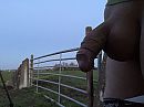 Op de uitkijk, foto 3088x2320, 5 reacties, 16 stemmen