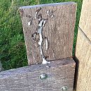 Op het eind van mijn wandeling, foto 1024x1024, 6 reacties, 12 stemmen