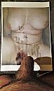 Op pink-pussy klaargekomen, foto 2380x4000, 3 reacties, 6 stemmen