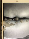 Op verzoek, foto 3000x4000, 0 reacties, 3 stemmen