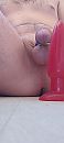 Opwarmen.., foto 1799x4000, 0 reacties, 3 stemmen
