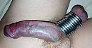 Paarse, foto 3129x1647, 3 reacties, 6 stemmen