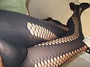 Pantygeil, foto 3648x2736, 5 reacties, 9 stemmen