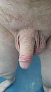 Pik groeit, foto 1620x2880, 8 reacties, 12 stemmen