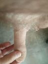 Pik, foto 3000x4000, 8 reacties, 24 stemmen