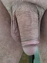 Pik, foto 3000x4000, 3 reacties, 2 stemmen
