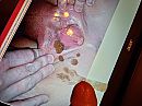 Pink pussy, foto 4000x3000, 3 reacties, 5 stemmen