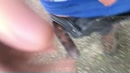 Plassen op de Parking, film 00:00:00, 8 reacties, 30 stemmen