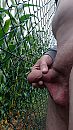 Plassen, foto 2250x4000, 2 reacties, 2 stemmen