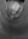 Sexy, film 00:00:03, 7 reacties, 52 stemmen